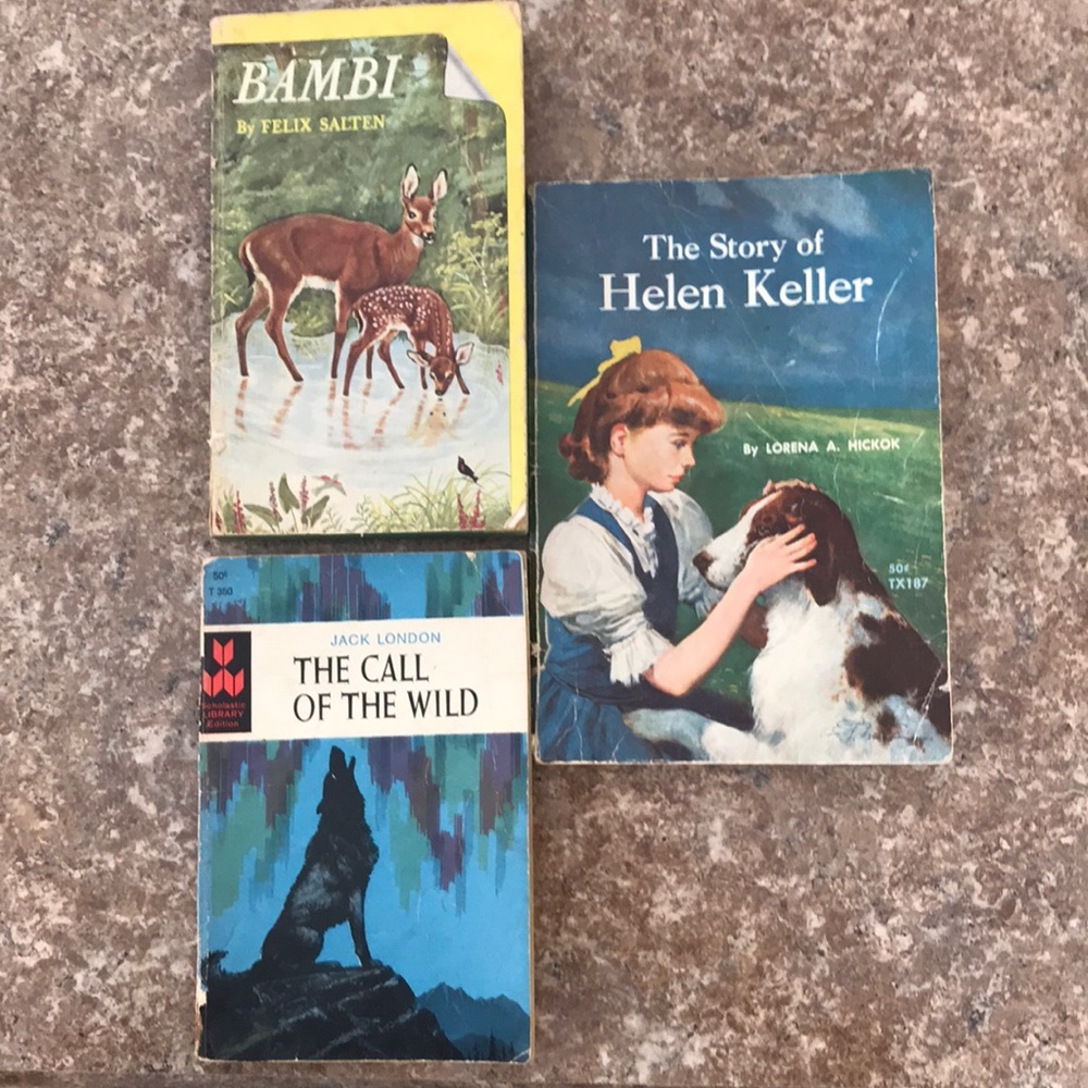 Classics Book Bundle